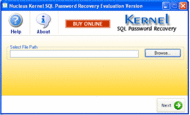 SQL Password Recovery screenshot